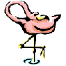 flamingo