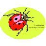 ladybird
